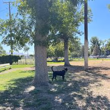 Bannock Bark Park